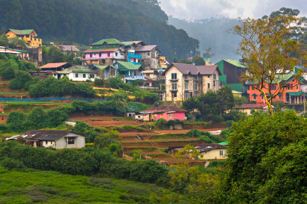 Colorful village houses in Nuwara Eliya, Sri Lanka Houses in the village near Nuwara Eliya, Sri Lanka nuwara eliya stock pictures, royalty-free photos & images