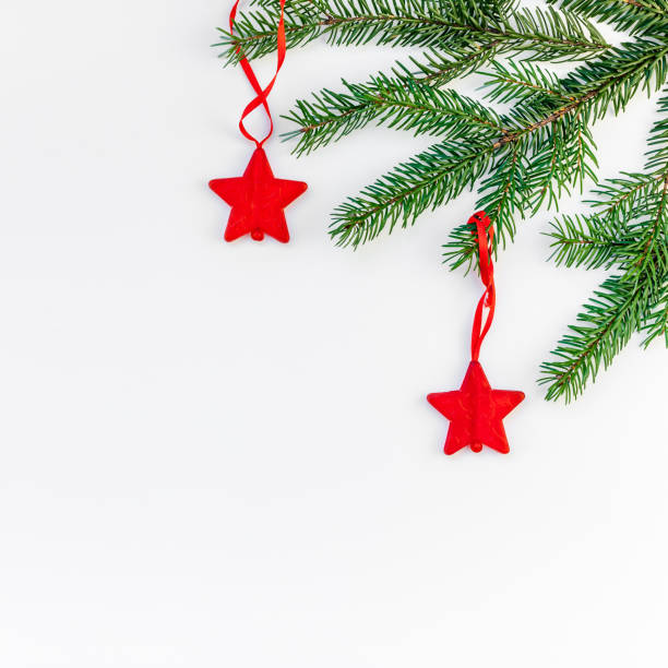 istock Christmas fir tree branch on white background 1059086888