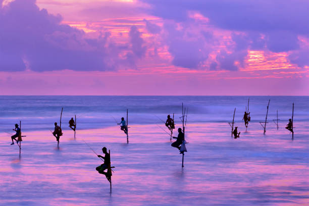 fischer auf stelzen in der silhouette bei sonnenuntergang in galle, sri lanka - sri lanka fotos stock-fotos und bilder