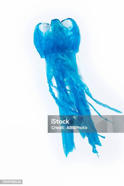 Plastic Bottle Recycled In A Jellyfish Figure Reuse Garbabe Stock Photo - Download Image Now