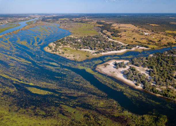 istock Okavango delta river in north Namibia, Africa 1059088652