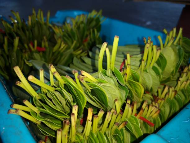 istock Sunday market in Sabah, Borneo. 1059095546