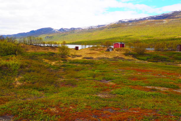 istock grassland in Lapland 1059099446