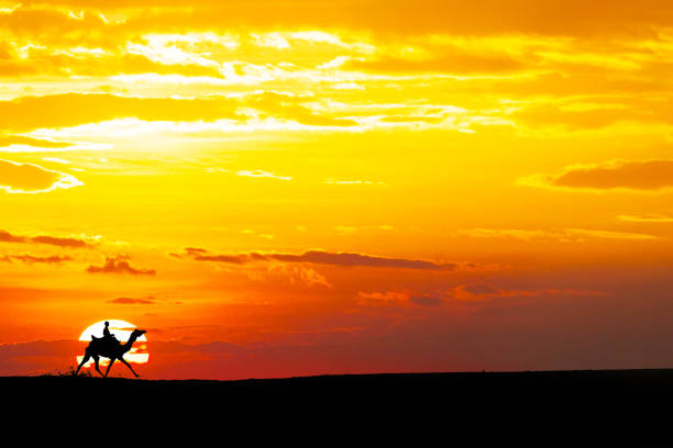 People ride Camel running through Thar Desert in India, Show silhouette and dramatic sky