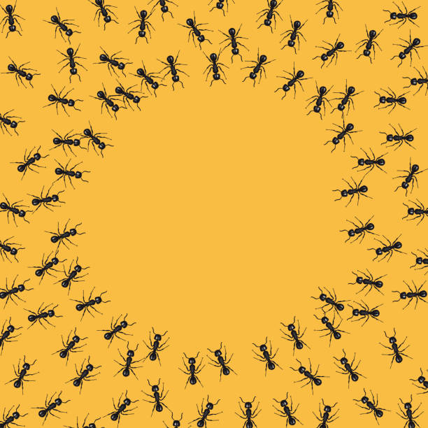 Group of ants around an empty circle. Background with copy space Group of ants around an empty circle. Background with copy space ant stock illustrations