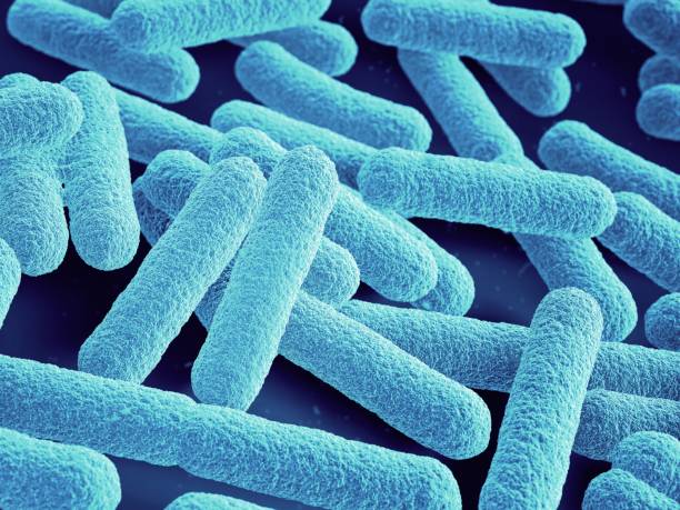 istock Bacteria close up. Escherichia coli. 1059108300