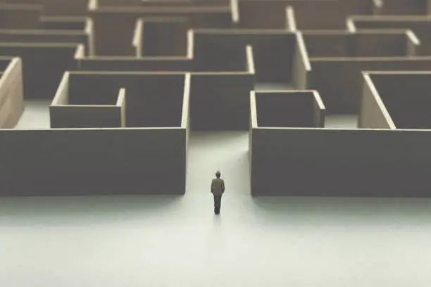 Photo of man entering wooden maze