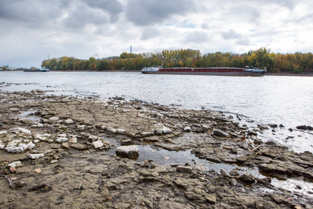 Low water at Rhine river Banks and riverbed of Rhine river in Wiesbaden. Extraordinary low water level after a long period of drought in 2018. dry riverbed stock pictures, royalty-free photos & images