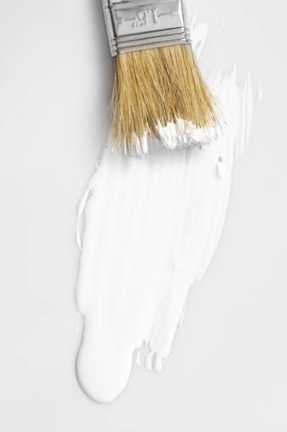 White paint brush stroke on white background. Top view point.