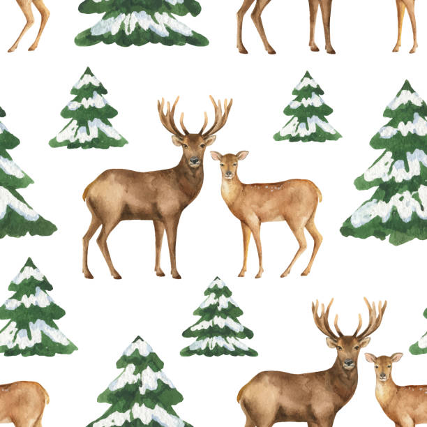 Watercolor vector Christmas seamless pattern with deer and green fir trees. Watercolor vector Christmas seamless pattern with deer and green fir trees. Illustration for wrapping paper, textiles, greeting cards and invitations. fir tree pine backgrounds branch stock illustrations