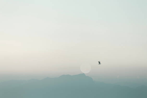 minimal landscape moon over mountains in the evening