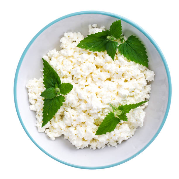 istock Homemade cottage cheese with mint leaves 1059121670