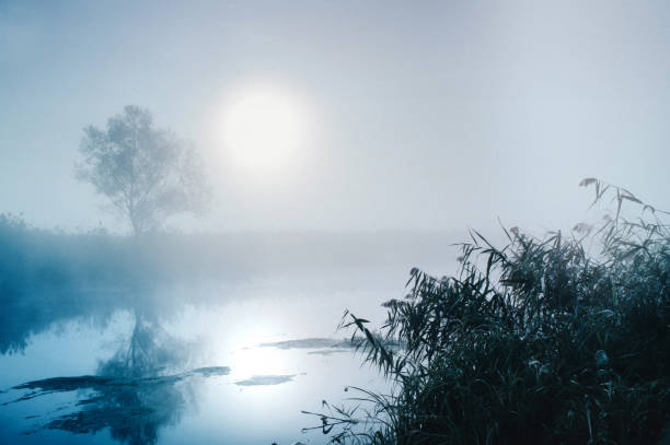 istock Dramatic mystical twilight landscape with rising sun, tree, reed and fog over water. 1059122182