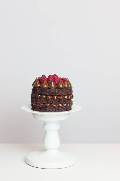 istock Chocolate naked cake 1059124738