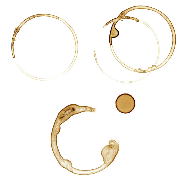 istock Set of real coffee stains 1059125276