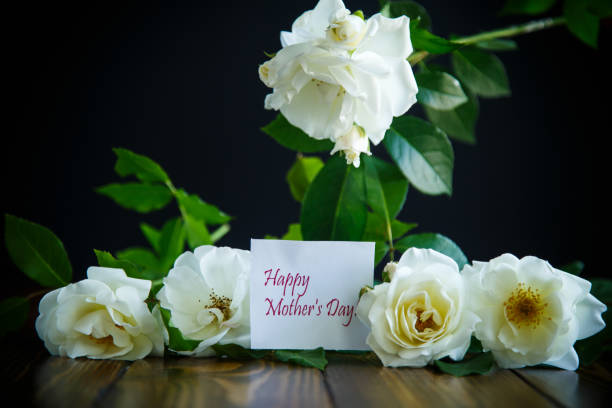 istock beautiful white blooming roses on a black 1059127338