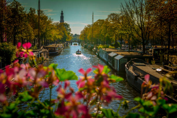 canale d'autunno di amsterdam - citytrip foto e immagini stock