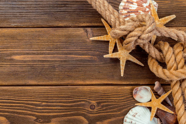 istock Seashells border on wood. Marine background 1059130194