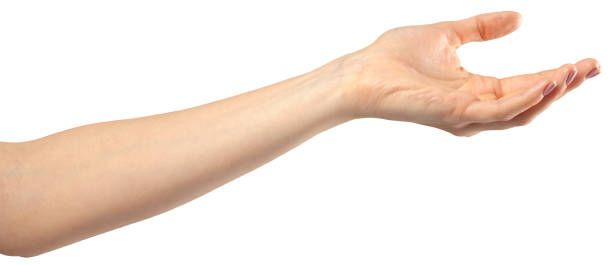 istock female hand gesture 1059130750