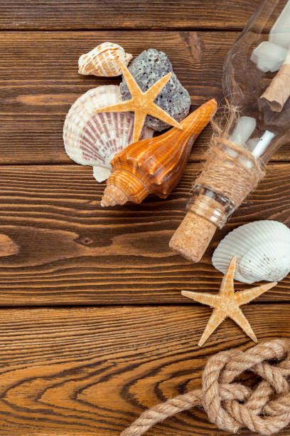 istock Seashells border on wood. Marine background 1059134288