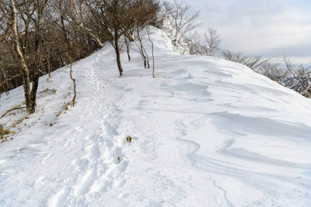 The winter mountain trail in Mt.Akagi The winter mountain trail in Mt.Akagi mt akagi stock pictures, royalty-free photos & images