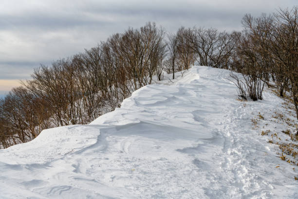 The winter mountain trail in Mt.Akagi The winter mountain trail in Mt.Akagi mt akagi stock pictures, royalty-free photos & images