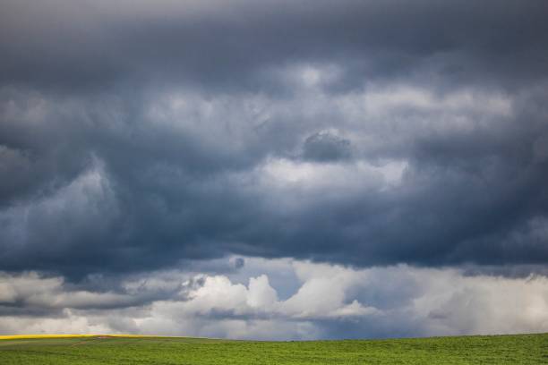 istock Dramatic thunderstorm over wind turbines in green fields - Caledon, Western Cape, South Africa. 1059142084