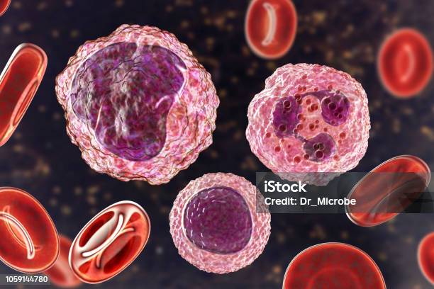 Monocyte Lymphocyte And Neutrophil Surrounded By Red Blood Cells Stock Photo - Download Image Now