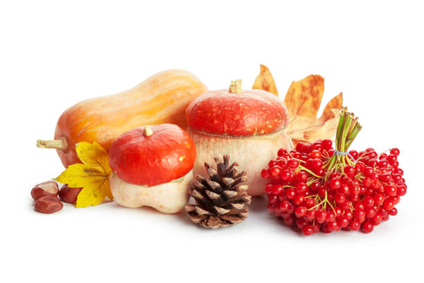 istock Autumn display with pumpkin and leaves isolated on white background 1059147000