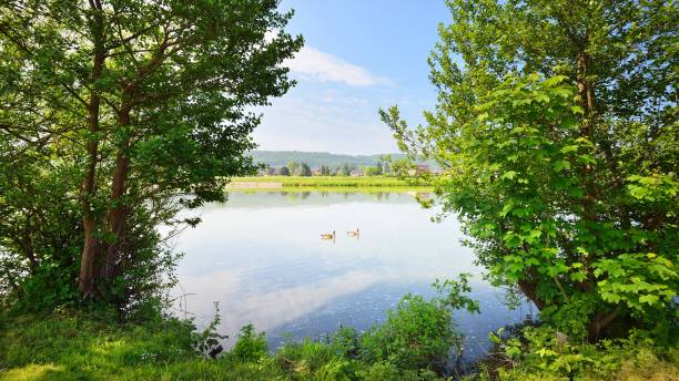 istock Maas, Meuse river in Belgium 1059153524