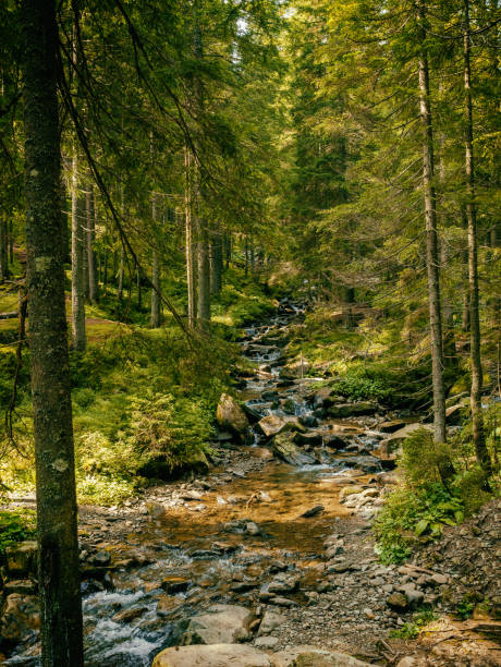 istock Mountain waterfall with blue, clear water. Summer background 1059155976