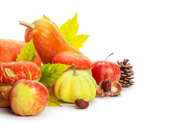 istock Autumn display with pumpkin and leaves isolated on white background 1059156034