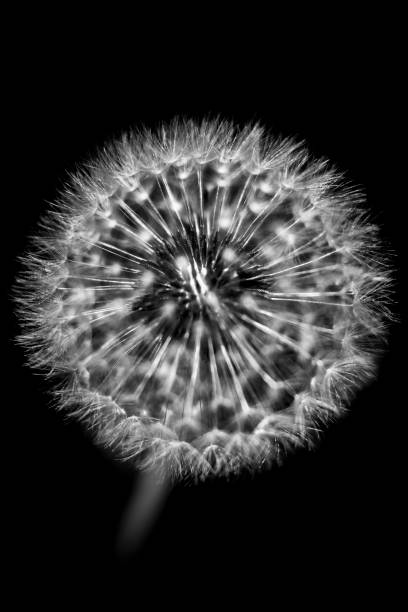 istock Collection of Photos 1059157094