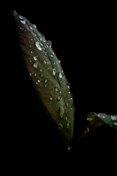 A collection of my photos
