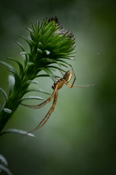 istock Collection of Photos 1059157154