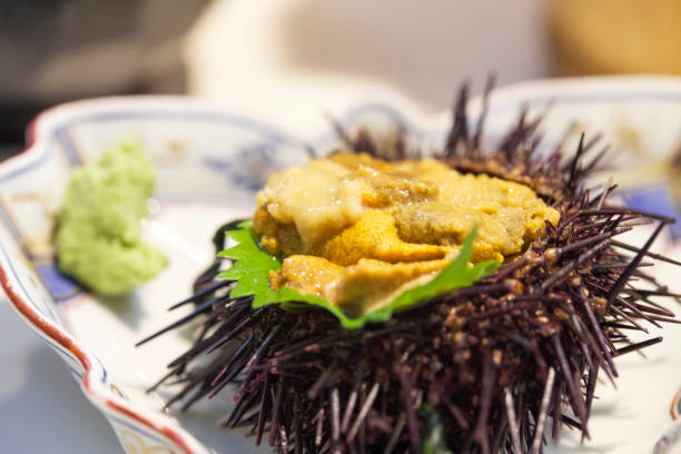 Fresh Fresh opened Sea urchin in japanese restaurant, Japanese food delicious