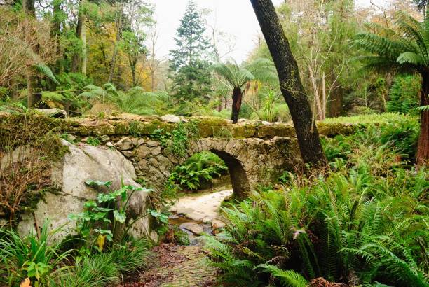istock Autumn around Sintra, Portugal 1059162618