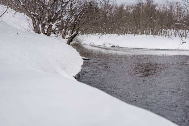 istock River with white showy banks in the forest 1059163660