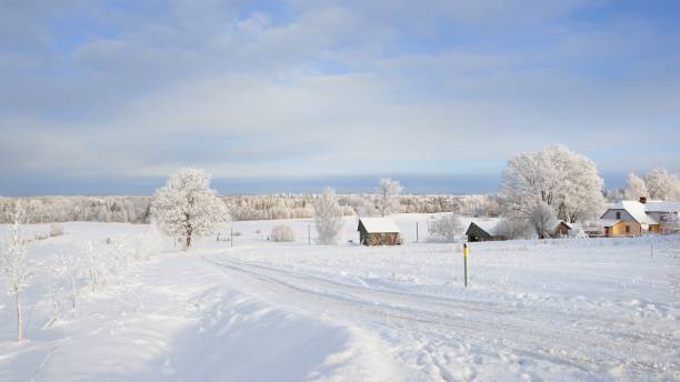 winter landscape with cozy farm houses and a snowcovered rural road. - activity baltic countries beauty in nature blue imagens e fotografias de stock