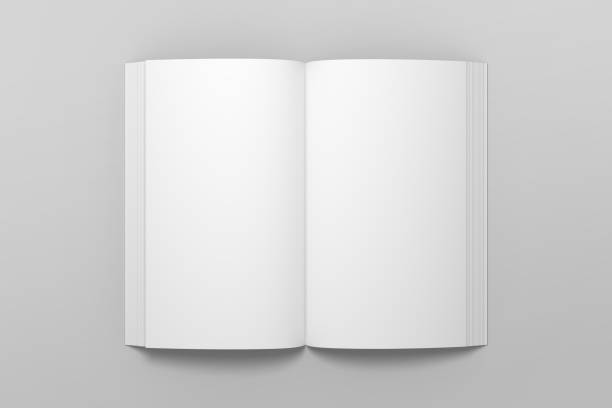 istock Empty opened 3D illustration of book mockup. 1059167012