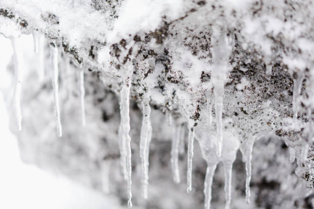 istock Ice at coastline of the Pacific ocean 1059170670