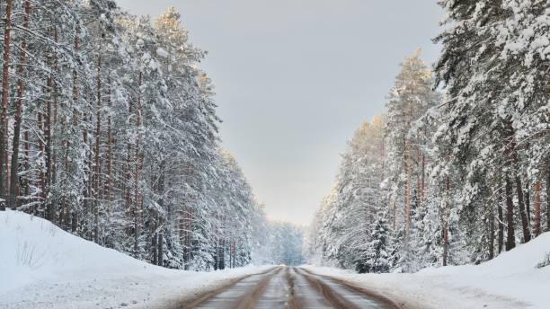 istock Forest highway through an old coniferous forest at winter 1059171420