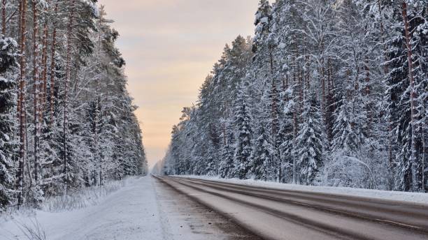 istock Forest highway through an old coniferous forest at winter 1059171438