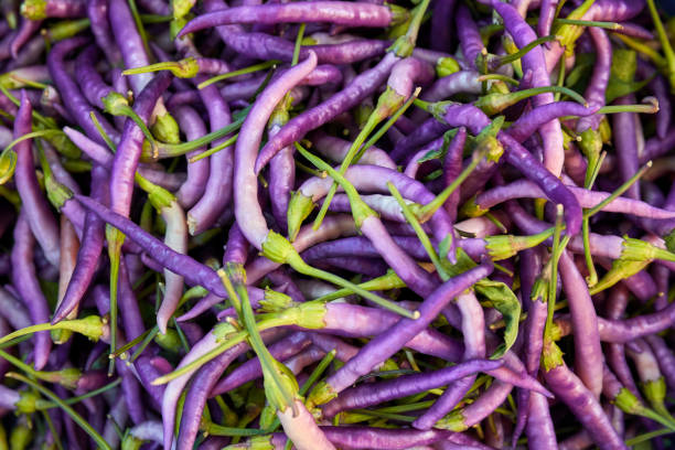 Heap of purple cayenne hot pepper (buena mulata) on the counter of a bazaar