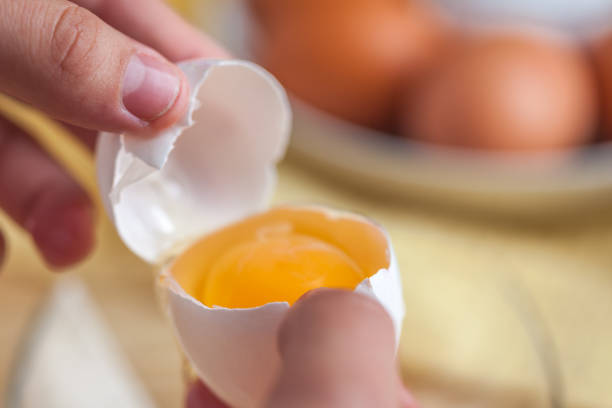 Woman hands breaking an egg to separate egg white and yolks, egg shells at the background Woman hands breaking an egg to separate egg white and yolks, egg shells at the background. egg yolk stock pictures, royalty-free photos & images