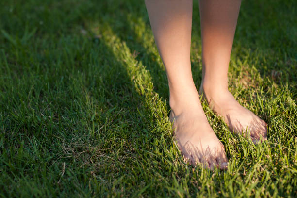 istock Barefoot female feet in green grass 1059181354