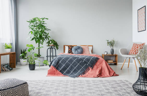 istock Urban jungle in modern bedroom with king size bed, comfortable grey armchair and patterned carpet, real photo with copy space on the empty wall 1059184308