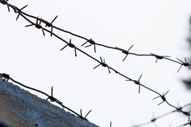 istock Barbed wire on the fence 1059185862