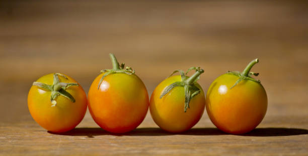 free space on table and red vegetables of tomato stock photo