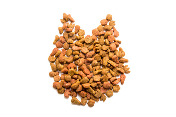 istock Cat and dog food on white background 1059188496
